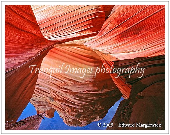 450451   Water in the lower Wave, Arizona 